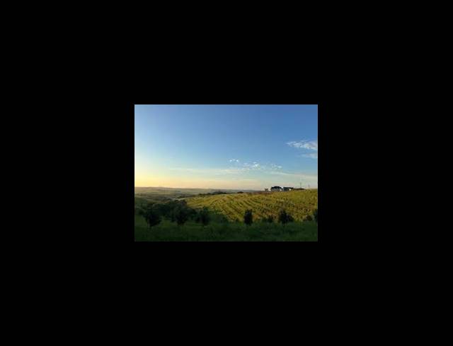 20,400M² VACANT LAND FOR SALE IN FAIRVIEW ESTATES